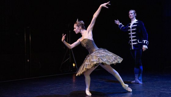 Balletgala / Гала-балет