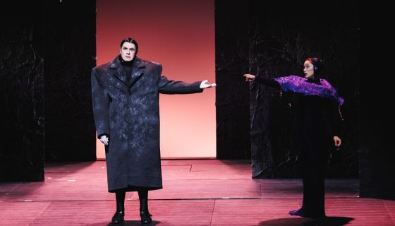 Спектакль «Комедия двенадцатой ночи»