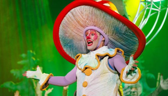 Цирковое шоу «Красная шапочка», Калужский