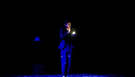 Мастера иллюзий. Mystic Show