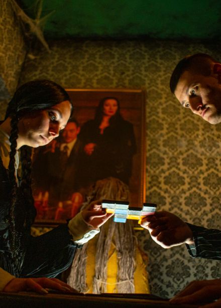 Семейка Аддамс