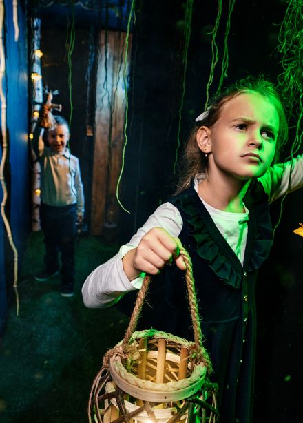 Домовёнок: Тайна пропавшего сундука