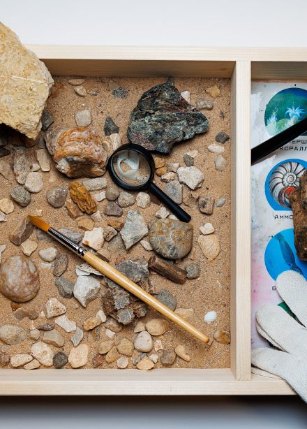 Охотники за окаменелостями