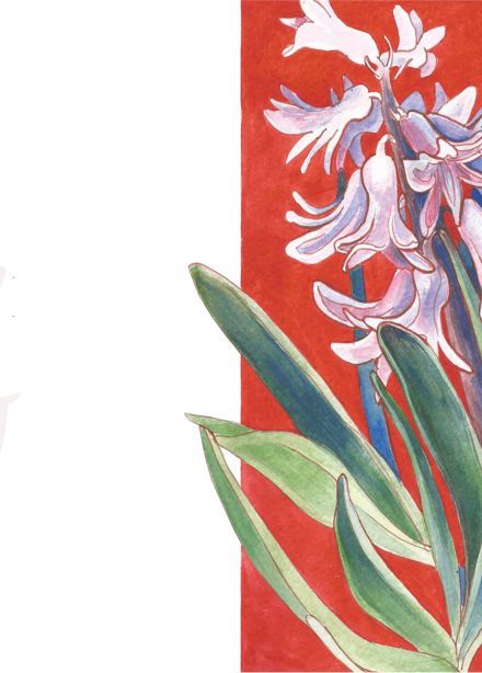 Ботанический атлас