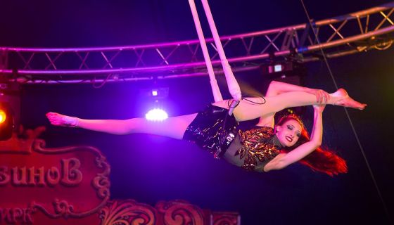 Московский цирк-шапито «Кудзинов»