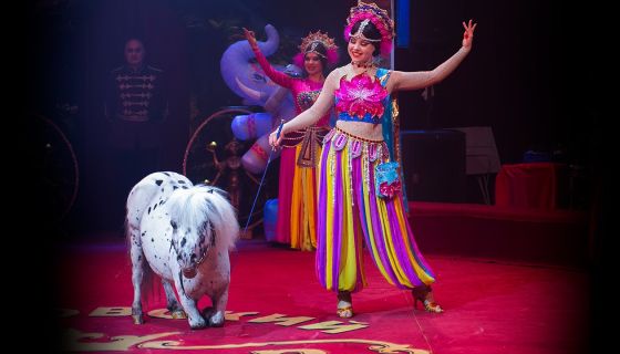 Московский цирк-шапито «Кудзинов»