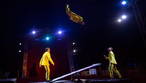 Московский цирк-шапито «Кудзинов»