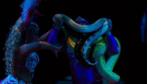 Приключения Бабы Яги в Цирке-шапито «Кудзинов»