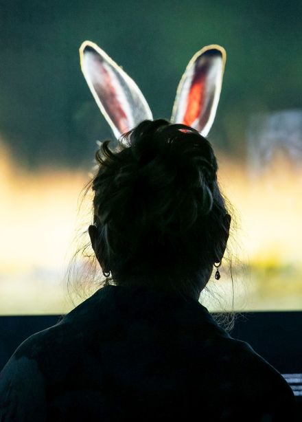 Золотая Черепаха