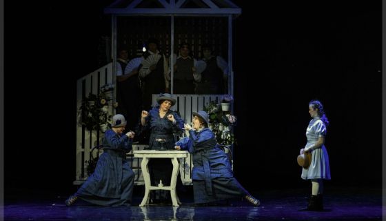 Спектакль «Поллианна»