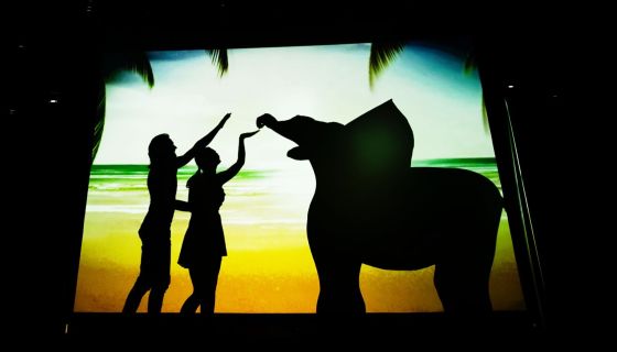 Шоу «Shadow Lab. История любви»