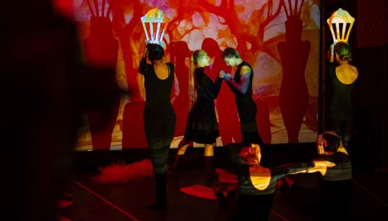 Шоу «Shadow Lab. История любви»