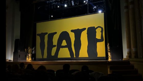 Шоу «Shadow Lab. История любви»