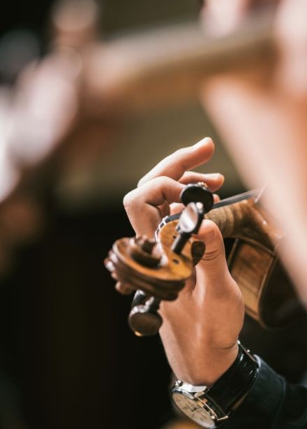 Концерт «Летучая мышь»