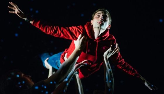 Спектакль «Загадочное ночное убийство собаки»