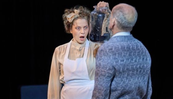 Спектакль «Тараканы»