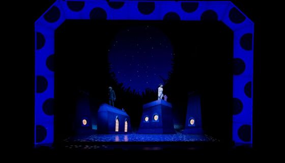 Шоу «Леди Баг и Супер-Кот»