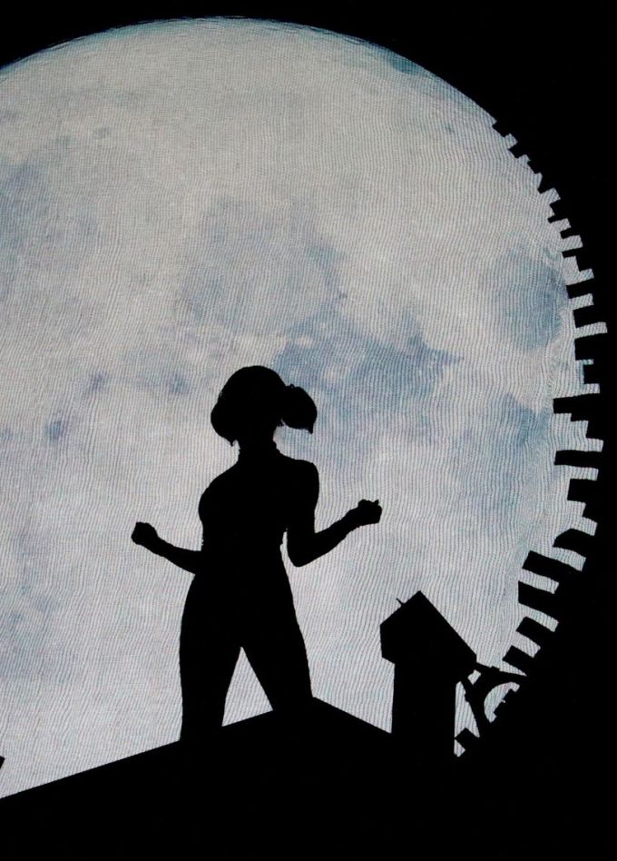 Шоу «Леди Баг и Супер-Кот»