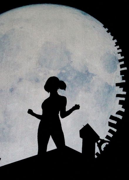 Шоу «Леди Баг и Супер-Кот»