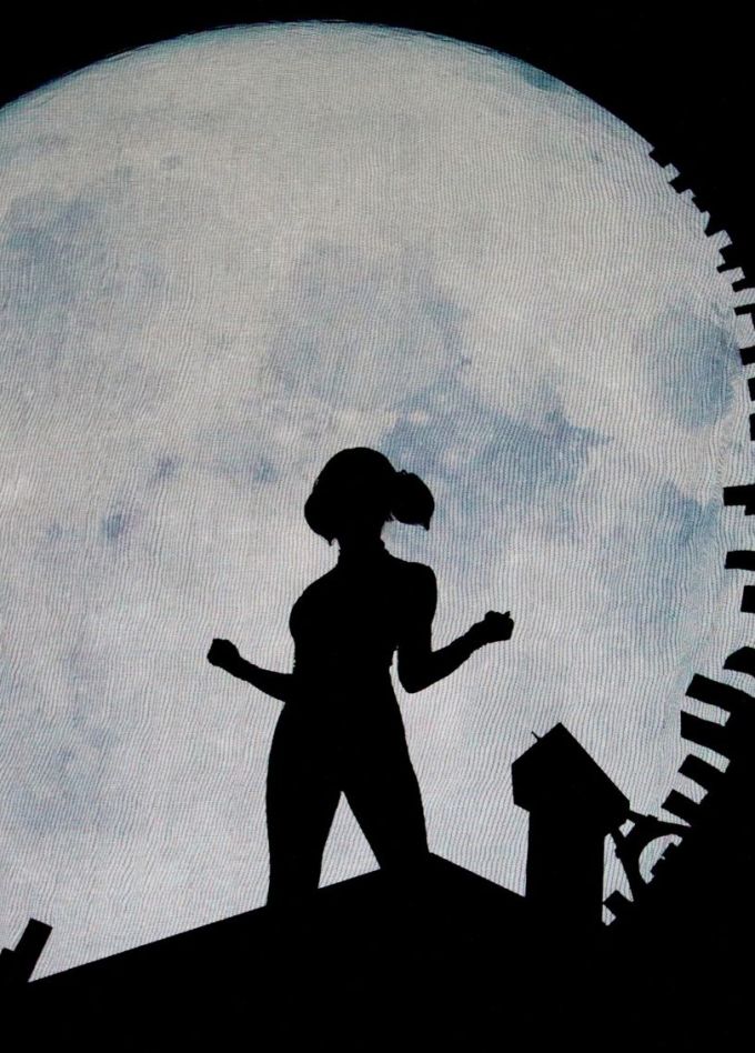 Шоу «Леди Баг и Супер-Кот»