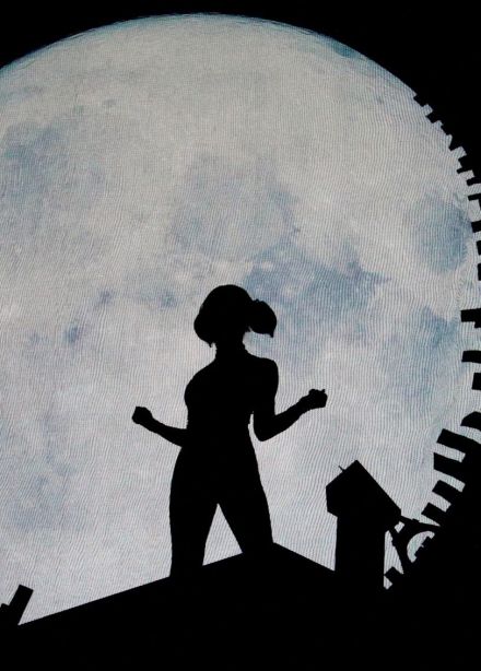 Шоу «Леди Баг и Супер-Кот»