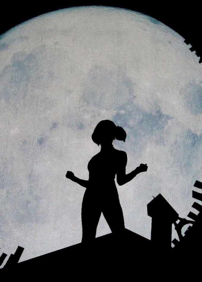 Шоу «Леди Баг и Супер-Кот»