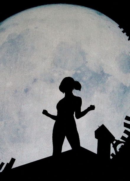 Шоу «Леди Баг и Супер-Кот»