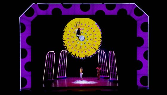 Шоу «Леди Баг и Супер-Кот»