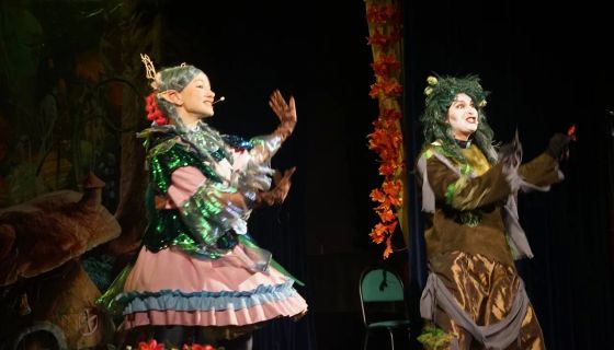 Спектакль «Приключения домовёнка»