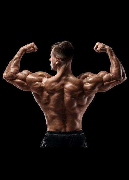 Единоборства. Турнир «ACA 197»