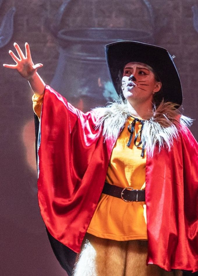 Шоу «Секрет Кота в сапогах»