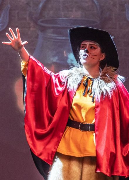 Шоу «Секрет Кота в сапогах»