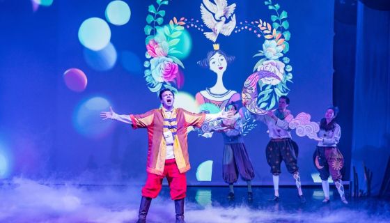 Шоу «Секрет Кота в сапогах»