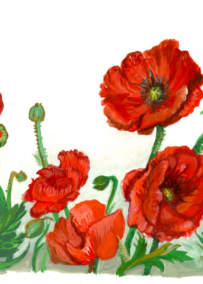 Студия книжной графики. Ботанический атлас