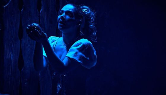 Спектакль «Щелкунчик vs Мышиный король»