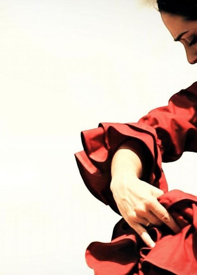 Новогодний концерт. Танцевальное шоу. Фламенко Андалусии