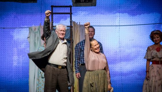 Спектакль «Любовь и голуби»