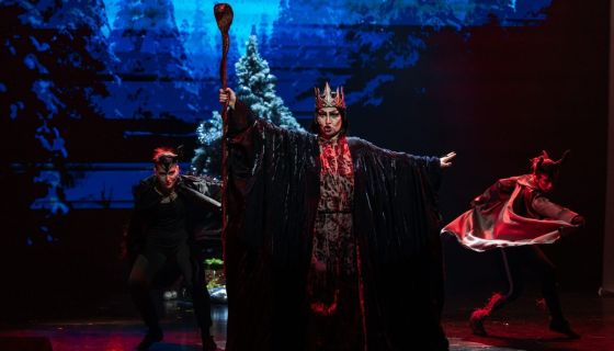 Шоу «Как зажечь ёлку»