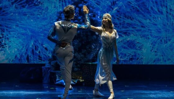 Шоу «Как зажечь ёлку»