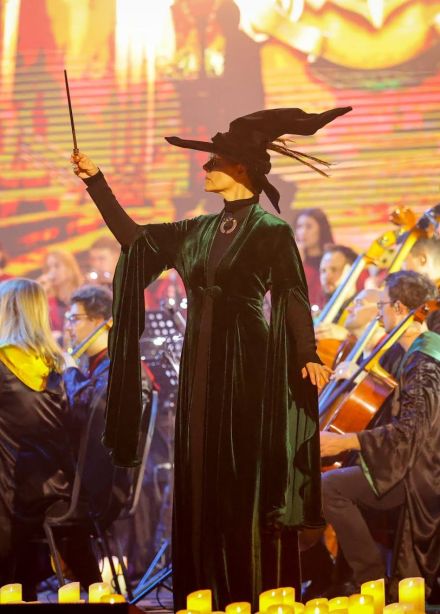 Шоу «Новый год в Хогвартсе»