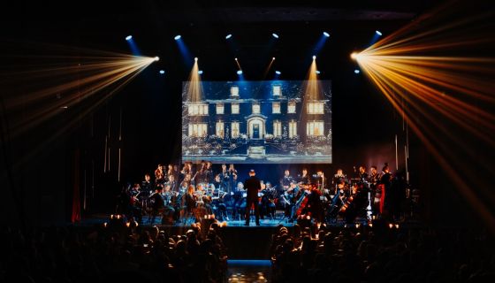 Шоу «Новый год в Хогвартсе»