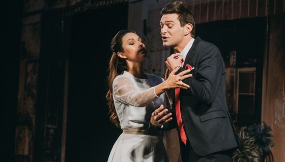 Спектакль «Идеальный свидетель»