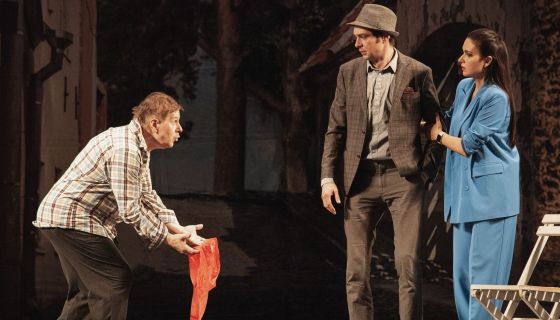 Спектакль «Идеальный свидетель»