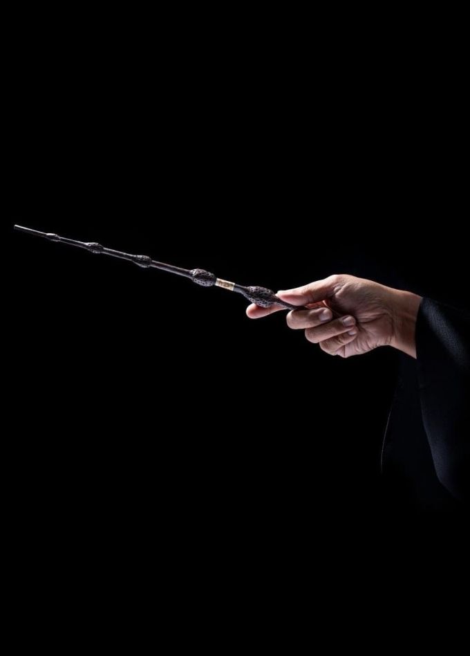 Оркестр Sonorus. Гарри Поттер