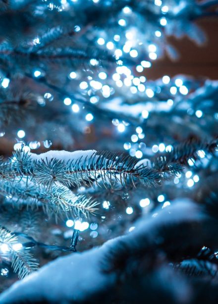 Спектакль «Двенадцать месяцев»