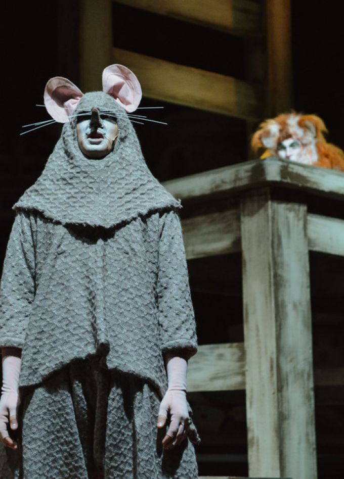 Все мыши любят сыр