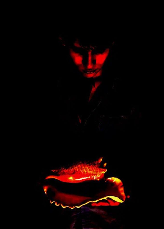 Повелитель мух