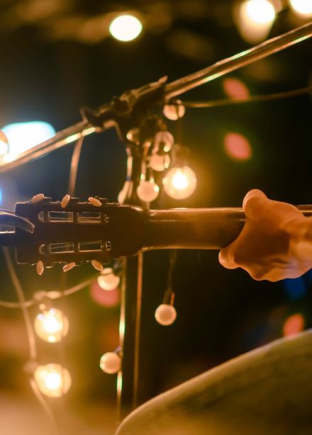 Марина Гиоргадзе и Александр Шалунов. Голоса и струны