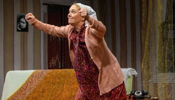 Спектакль «Насмешница Фаина»