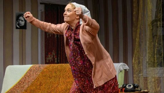 Спектакль «Насмешница Фаина»